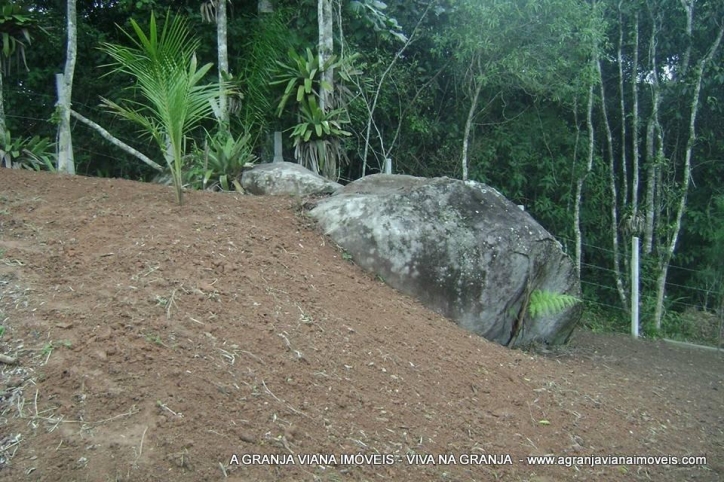 Terreno à venda, 26000m² - Foto 8