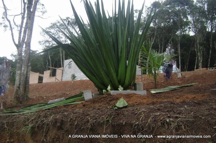 Terreno à venda, 26000m² - Foto 10