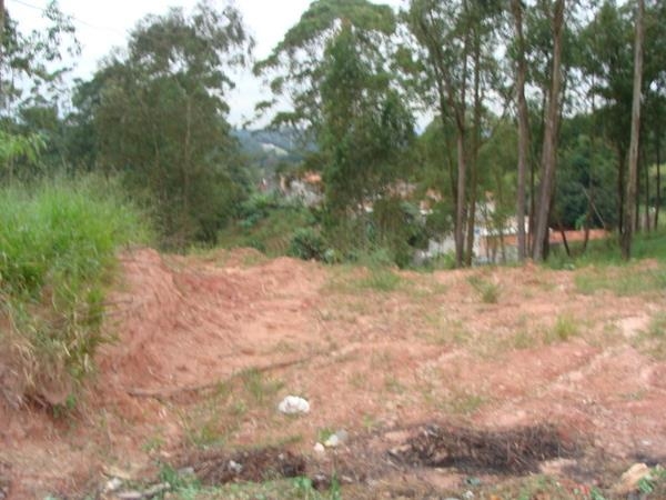 Terreno à venda, 17000m² - Foto 3