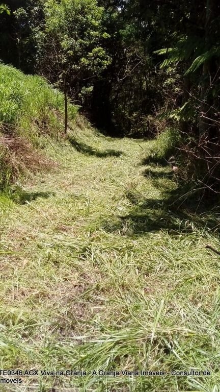 Terreno à venda, 26000m² - Foto 25