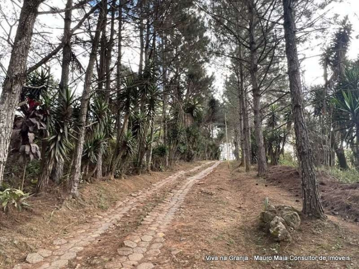 Terreno à venda, 18455m² - Foto 5