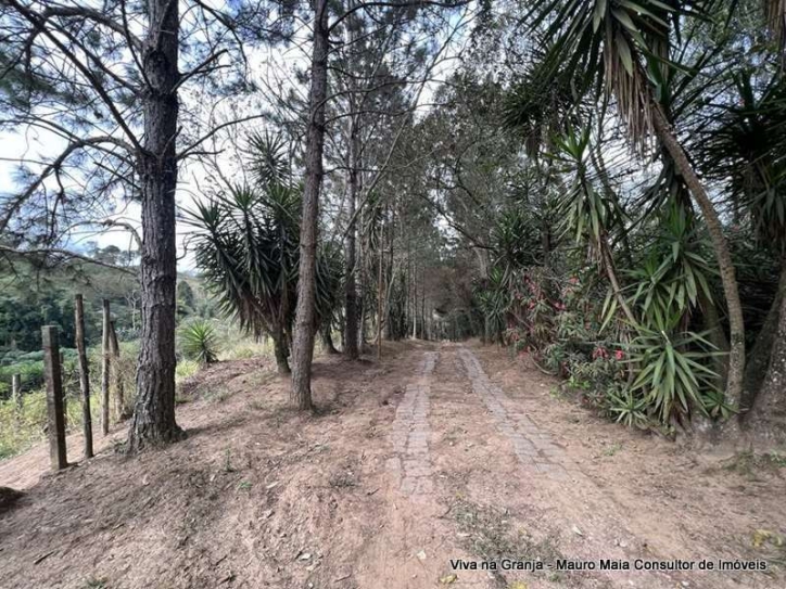 Terreno à venda, 18455m² - Foto 6